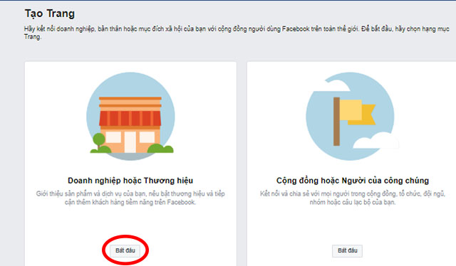 quảng cáo video trên facebook