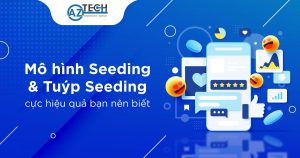 Mô hình seeding và tuýp seeding cực hiệu quả bạn nên biết Mo-hinh-seeding-300x158