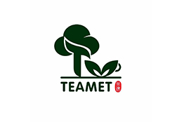 logo teamet